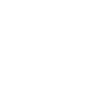 icon2 icon2